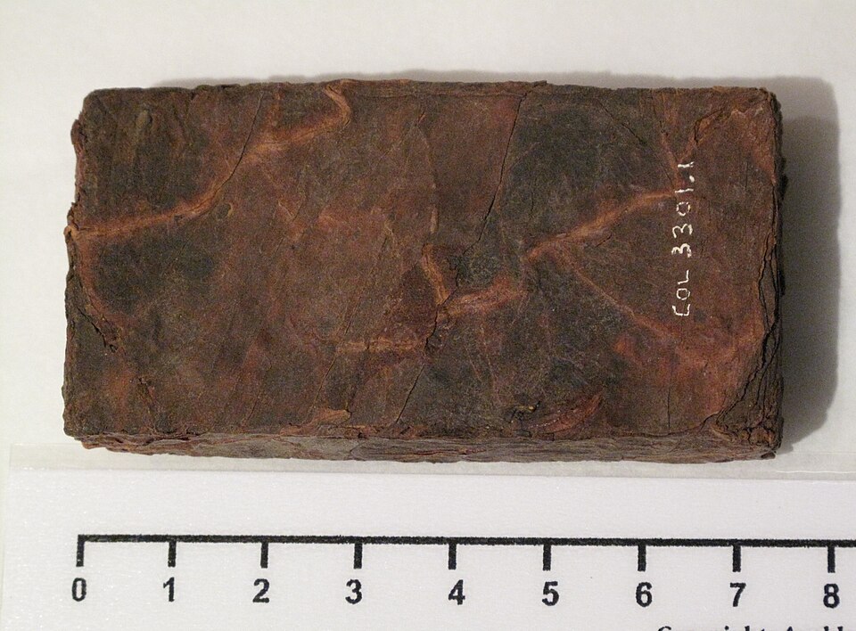 File:Tobacco (AM 1991.132-2).jpg